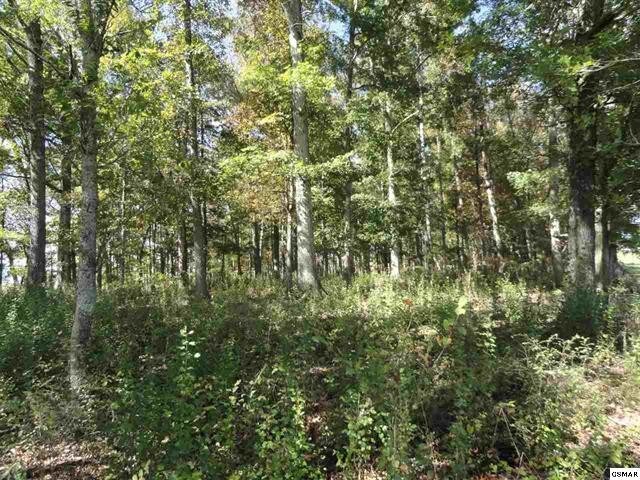 More Photos Of 00 Newport Hwy, Shawanee Land For Sale