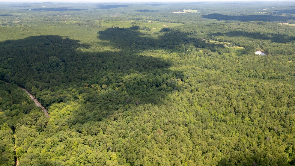 More Photos Of 17796 Dry Branch loop, Northport Land For Sale