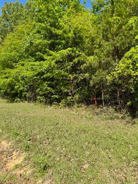 More Photos Of 000 Tanglewood Trail, Georgetown Land For Sale
