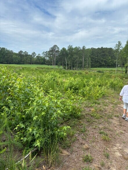 More Photos Of Mays Crossroads Rd, Youngsville Land For Sale