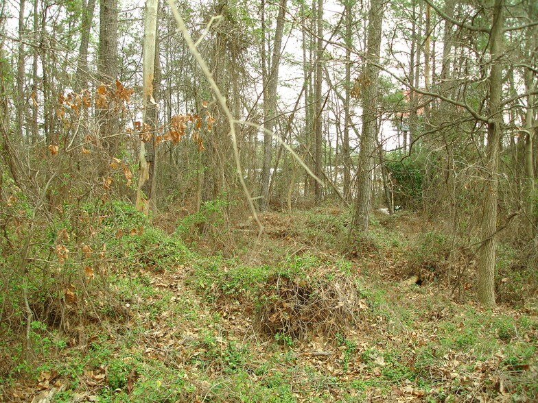 More Photos Of 1561-1565 Moreland Ave, Atlanta Land For Sale