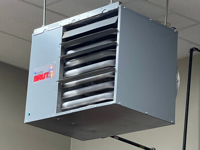 More Photos Of 17 Prospect Ave, Albany Light Distribution For Sale