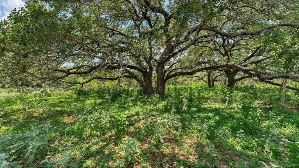 More Photos Of 209 FM 1344, Floresville Land For Sale