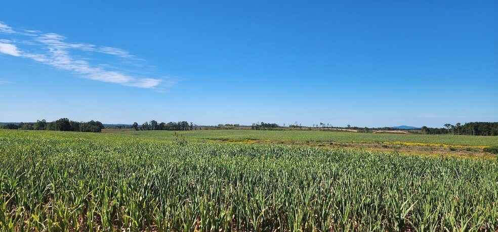 More Photos Of Glenmore Road, Scottsville Land For Sale