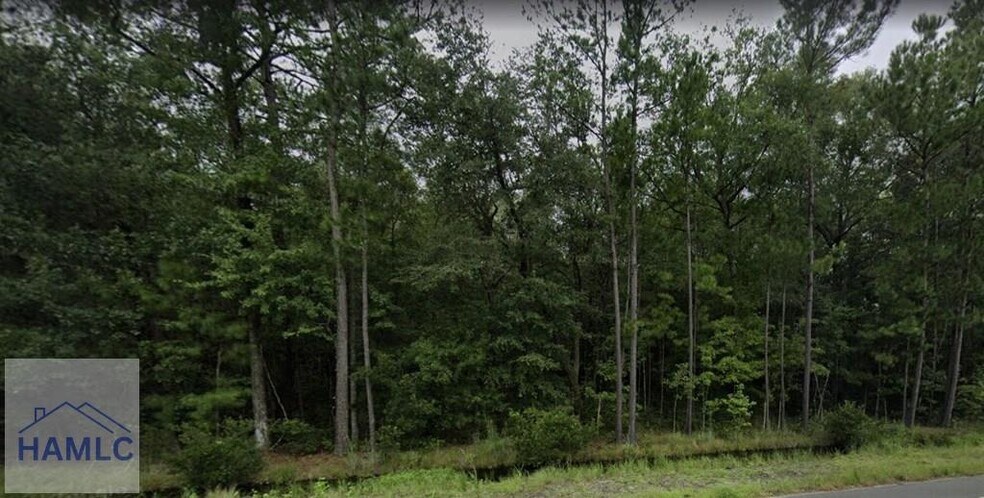 More Photos Of 9.33 AC East Oglethorpe Highway, Flemington Land For Sale