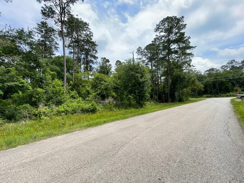 More Photos Of 19094 Galaxy Blvd, New Caney Land For Sale