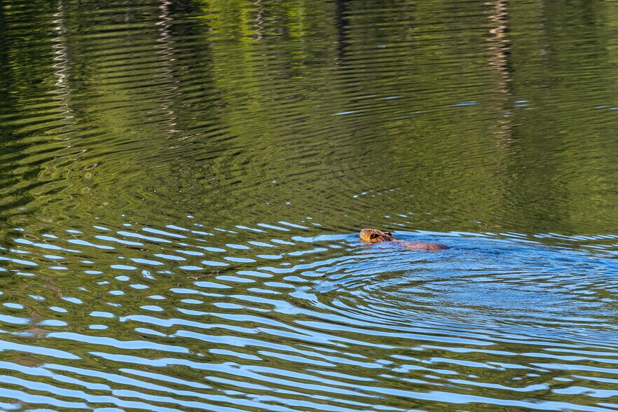 More Photos Of 6726 Gazelle Callahan Rd, Gazelle Land For Sale