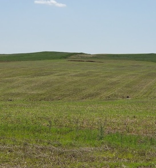 Primary Photo Of xxx 122nd M Ave NW, Watford City Land For Sale