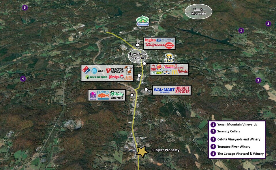 More Photos Of 3040-3042 Highway 129 S, Cleveland Auto Repair For Sale