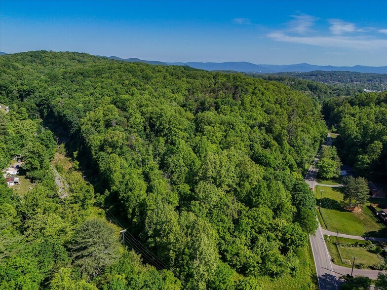 More Photos Of 0 Merriman Rd, Roanoke Land For Sale