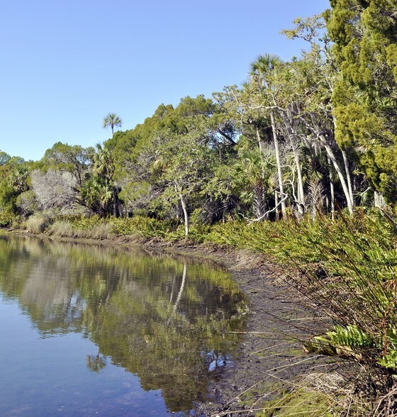 More Photos Of Cortez Blvd & Marys Fish Camp Rd, Weeki Wachee Land For Sale