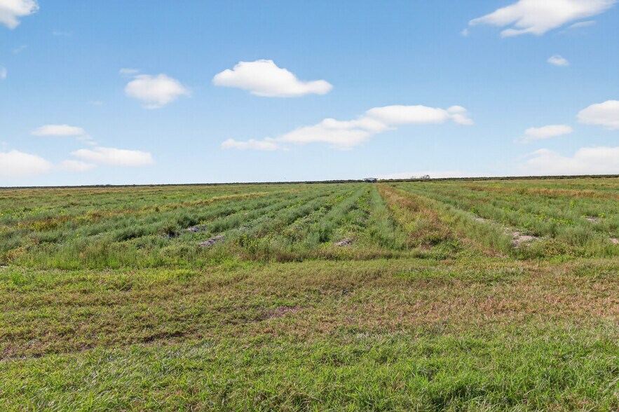 More Photos Of 8476 Ten Mile Grade, Zolfo Springs Land For Sale