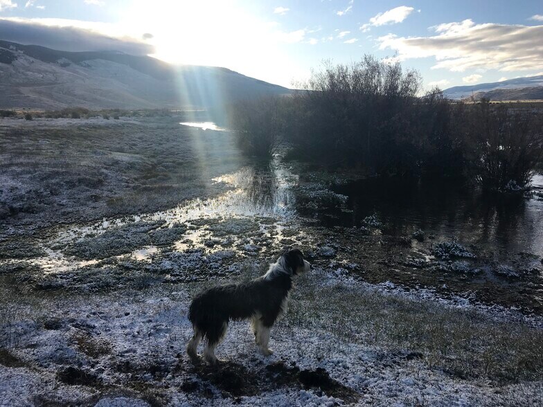 More Photos Of 3750 Pahsimeroi Rd, May Land For Sale