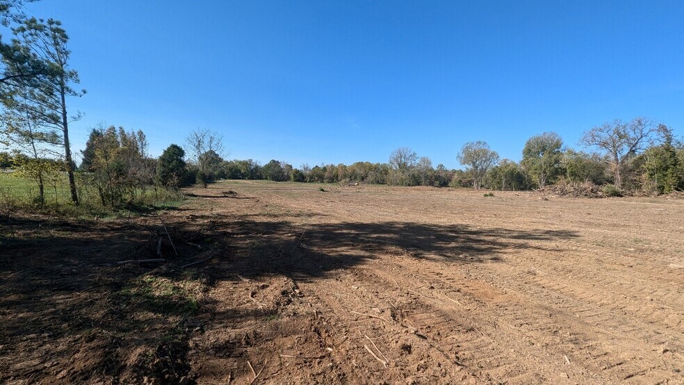 More Photos Of Hwy 43, Mount Pleasant Land For Sale