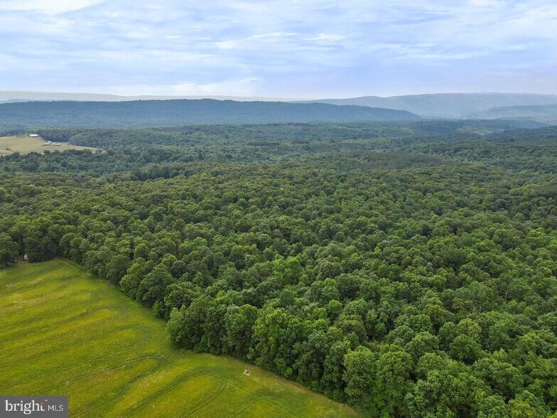 More Photos Of Porter's Ln, Hancock Land For Sale
