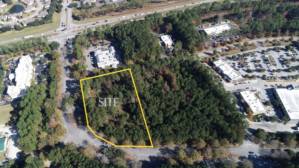 Primary Photo Of 124 Okatie Center Blvd S, Bluffton Land For Sale