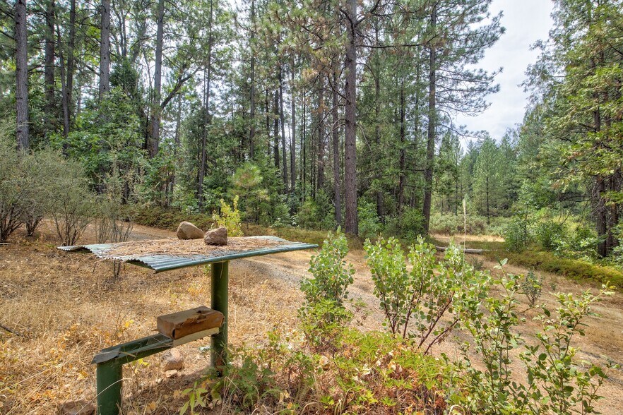 More Photos Of Mountain Dew Lane, Somerset Land For Sale