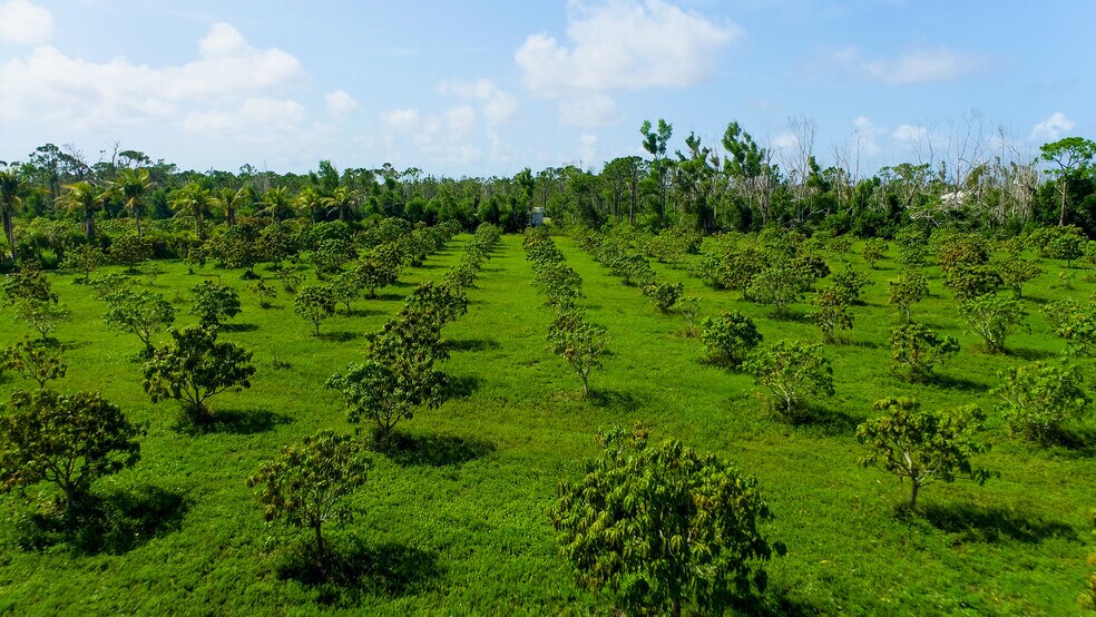 More Photos Of 9000 Stringfellow Rd, Saint James City Land For Sale