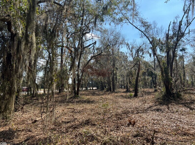 More Photos Of 3855 Darien Hwy, Brunswick Land For Sale