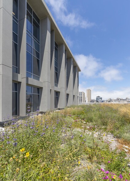 More Photos Of 1100 Van Ness Ave, San Francisco Medical For Lease