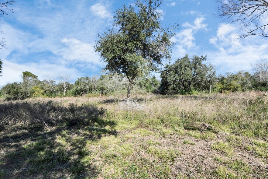 More Photos Of 10 FM 2403, Alvin Land For Sale