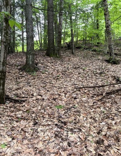 Primary Photo Of 225 Washington Rd, Bradford Land For Sale