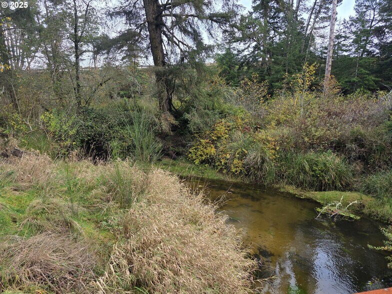 More Photos Of 0 Sherry Barbie Ln, North Bend Land For Sale