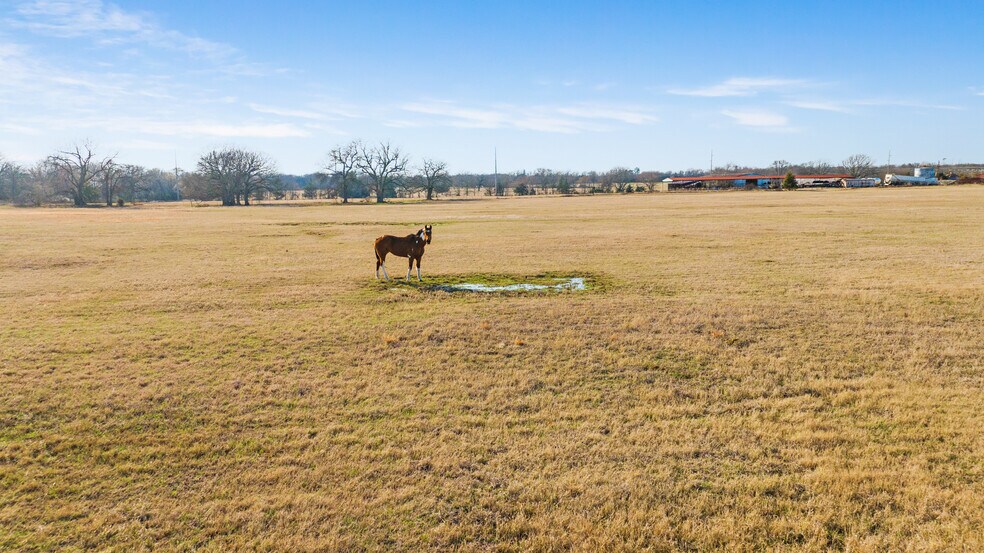 More Photos Of 3052 HWY 82 E, Paris Land For Sale