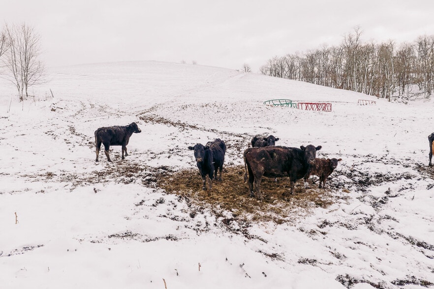 More Photos Of 68895 Lloydsville Bannock Rd, Belmont Land For Sale