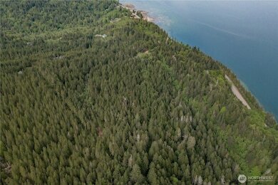 More Photos Of N US Hwy 101, Lilliwaup Land For Sale