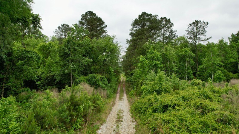 More Photos Of , Reevesville Land For Sale