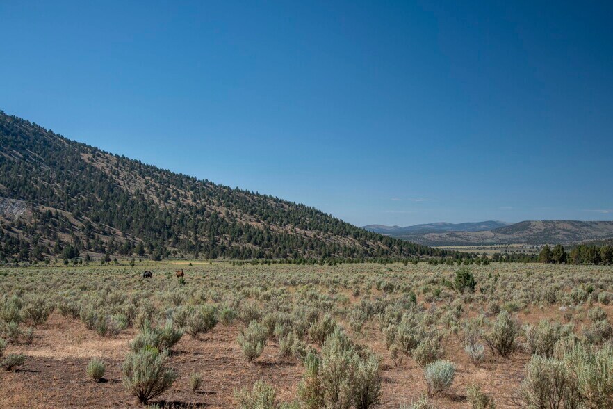 More Photos Of 32611 Tackman Rd, Prineville Land For Sale