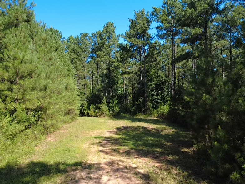 More Photos Of Hwy 184, Due West Land For Sale