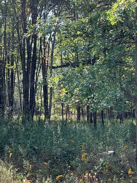 More Photos Of 00 Osprey Lane, Gardiner Land For Sale