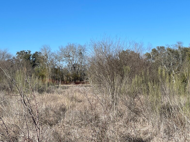 More Photos Of 54 Acres Trainer Hale, Schertz Land For Sale