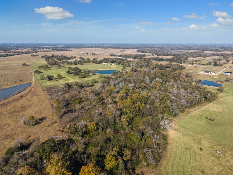 More Photos Of 4835 FM 1452 W, Madisonville Land For Sale