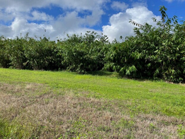 More Photos Of 1448 Broadus Williams Rd, Zolfo Springs Land For Sale