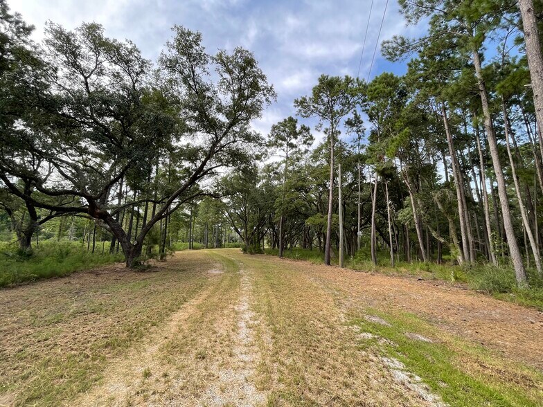 More Photos Of 0 King Rail Lane, Edisto Island Land For Sale
