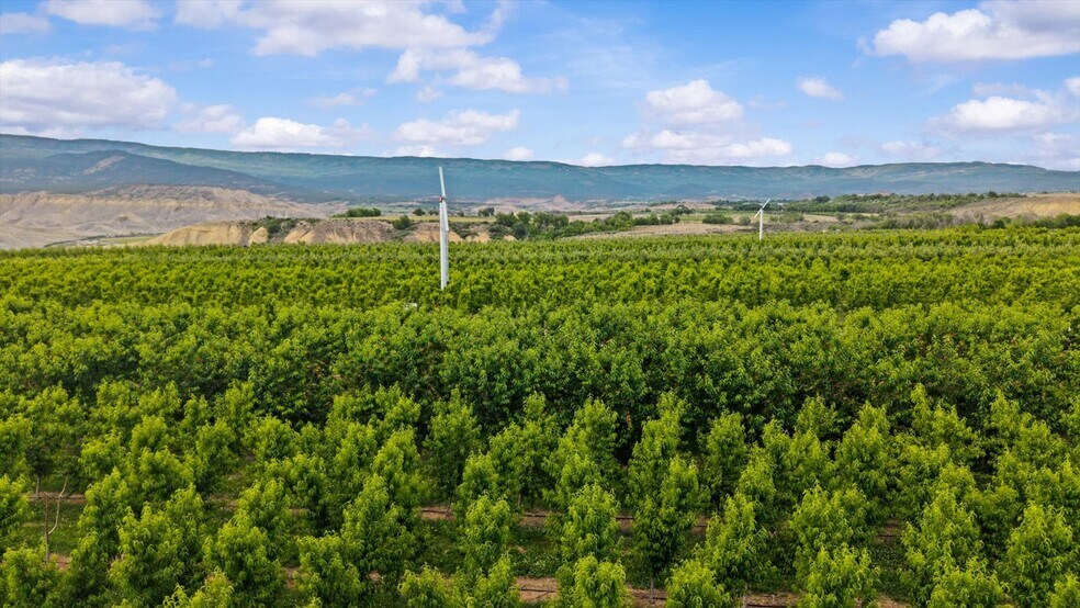 More Photos Of 20809 Nowhere Rd, Eckert Land For Sale