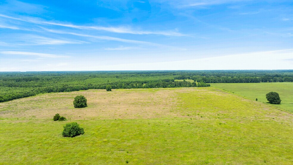 More Photos Of 449 County Road 1357, Clarksville Land For Sale