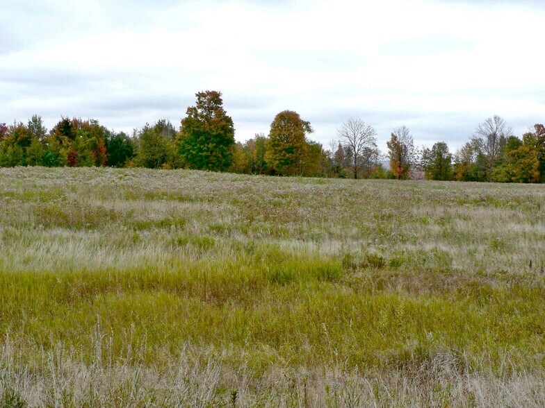 More Photos Of Mt Vernon St, Newport City Land For Sale