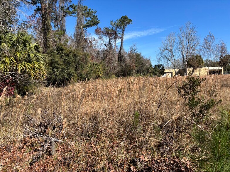 More Photos Of 1000 Cooks Lane, Green Cove Springs Land For Sale