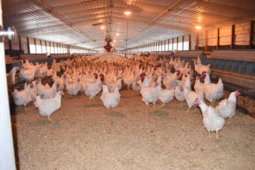 More Photos Of 441 Weaver Rd, Moultrie Land For Sale