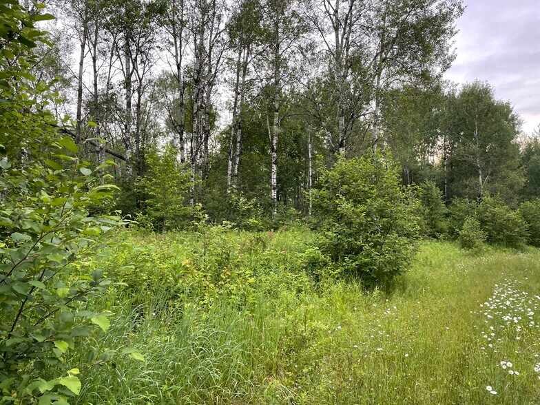 More Photos Of Hogsback Road, Exeland Land For Sale