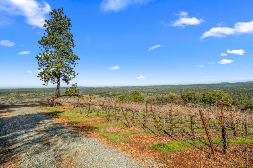 More Photos Of 6781 Tower, Somerset Winery Vineyard For Sale