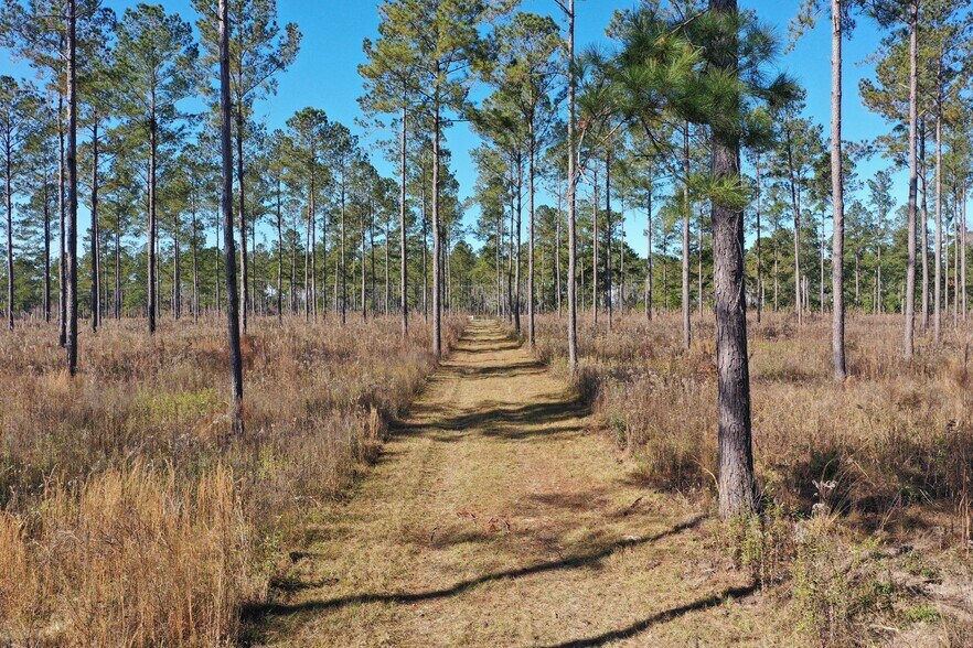 More Photos Of 4433 Pat Thomas Pky, Quincy Land For Sale