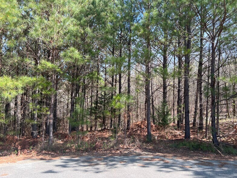 More Photos Of 16 Unbridled Rd SE, Rome Land For Sale