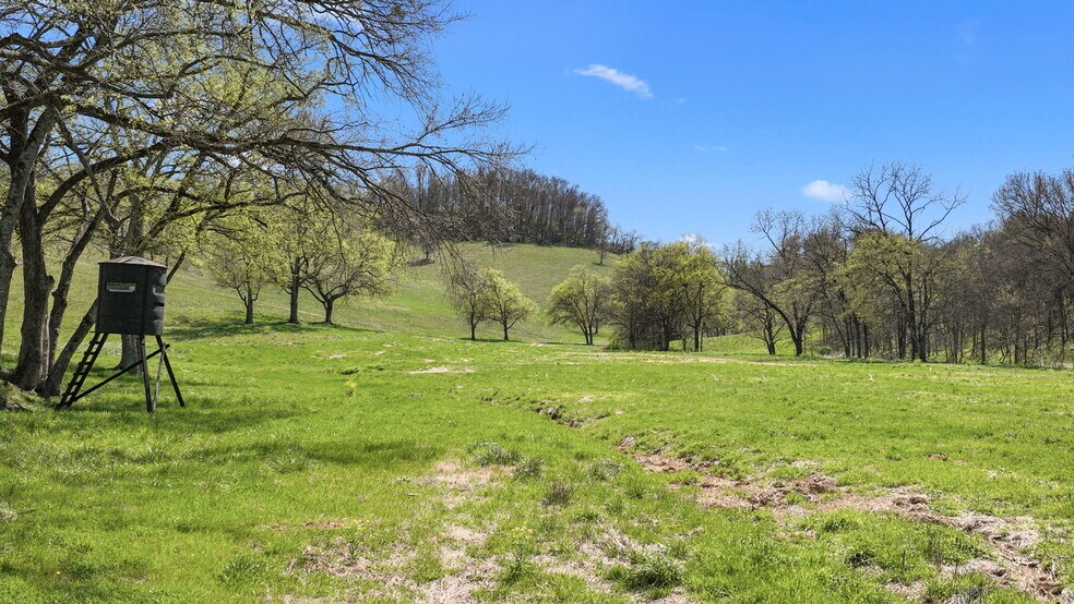 More Photos Of 0 McLaughlin Rd, Shelbyville Land For Sale