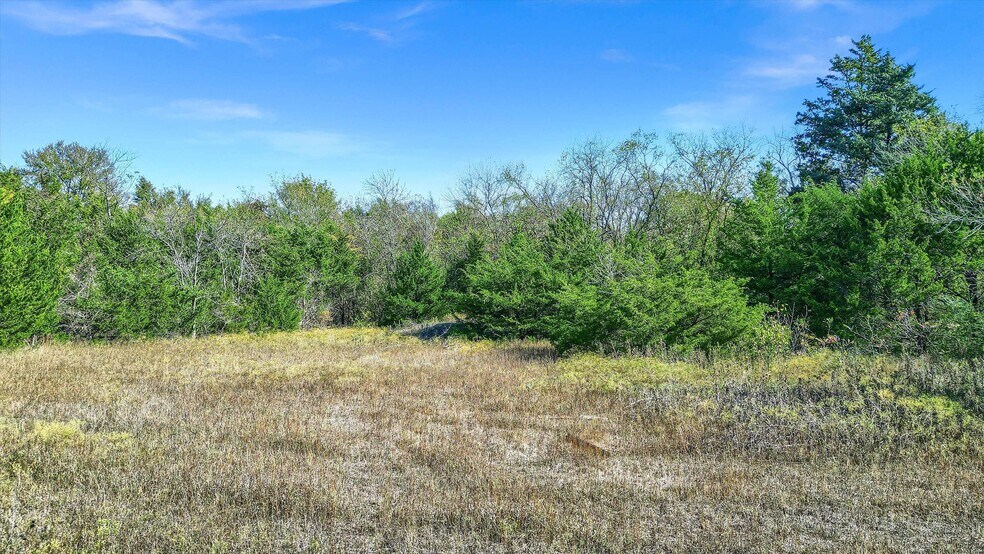 More Photos Of 322 Red Maple Rd, Gunter Land For Sale