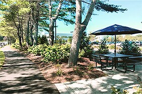 More Photos Of 225 Broadhollow Rd, Melville Office For Lease